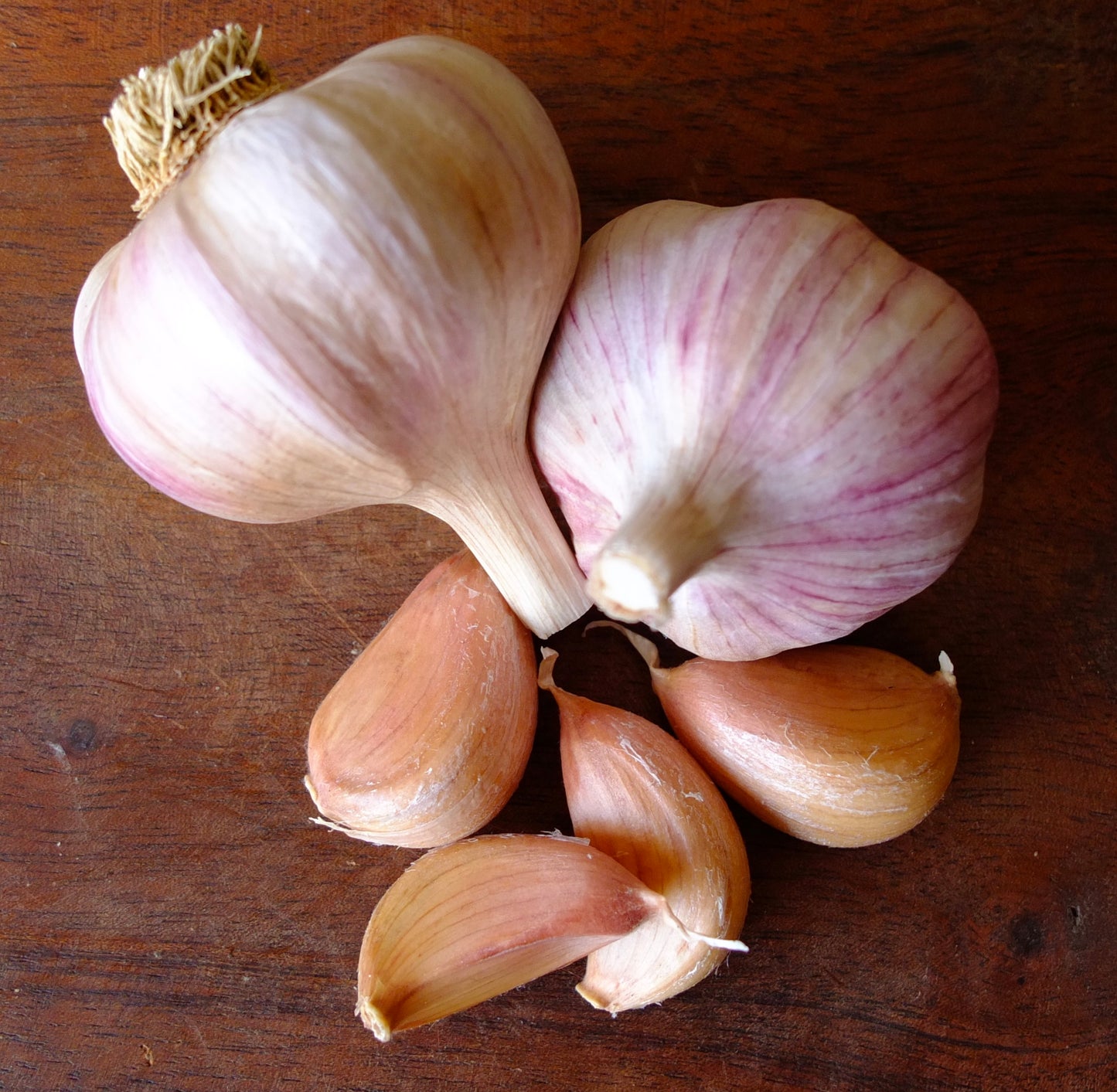 Italian Purple